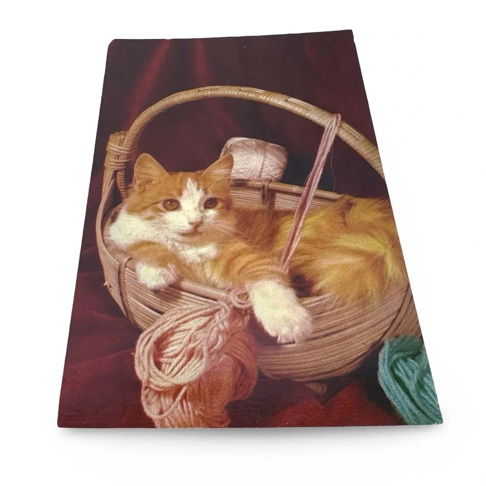 Vintage View Gram Cat Spinning the Yarn Postcard Bob Taylor Unused 60s BLC-99